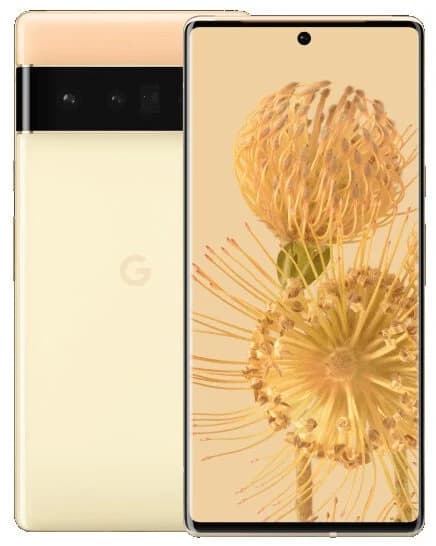 Pixel 6 Pro